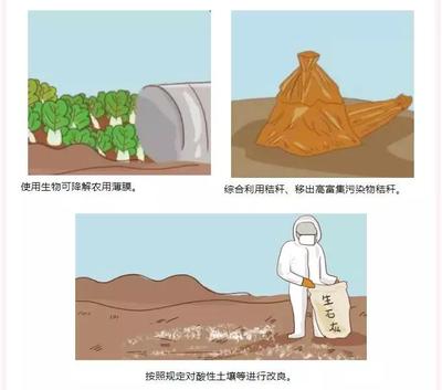 守護大地，人人有責 防治土壤污染，普通公眾能做什么？